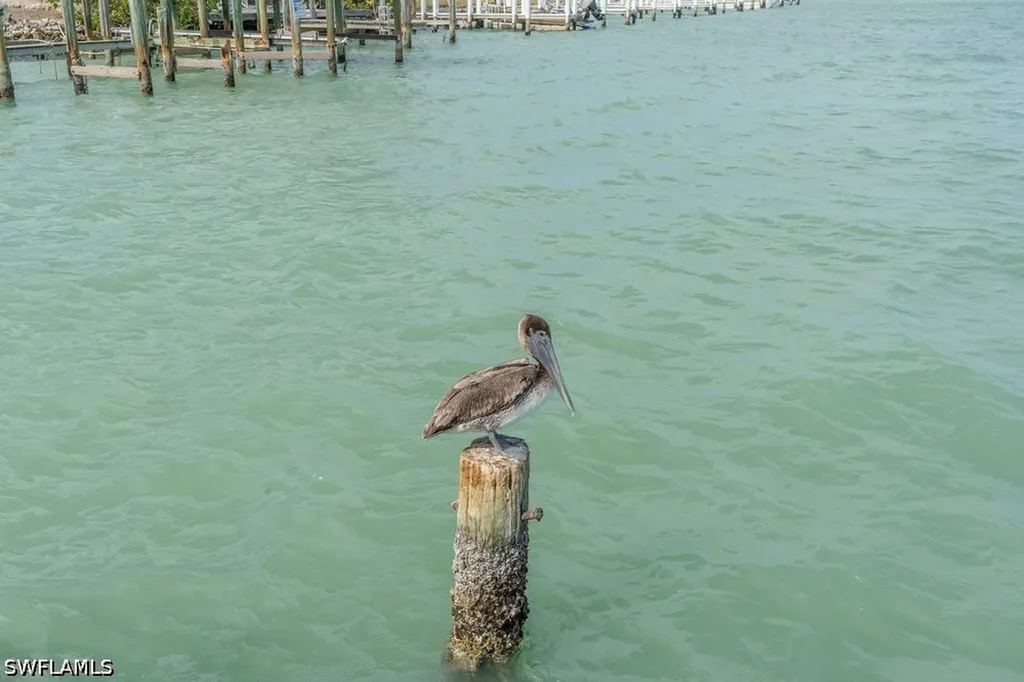 10 Tampa Place Marco Island FL 34135