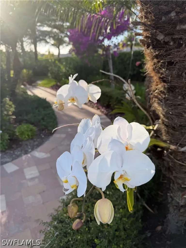 16336 Corsica Way Naples FL 34110