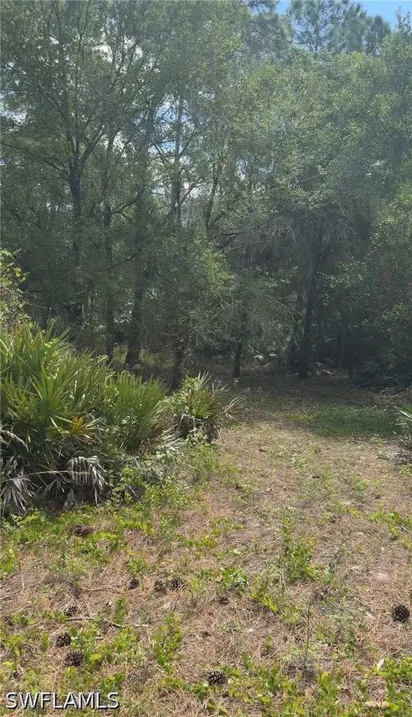 655 S Olivo Street Clewiston FL 33440