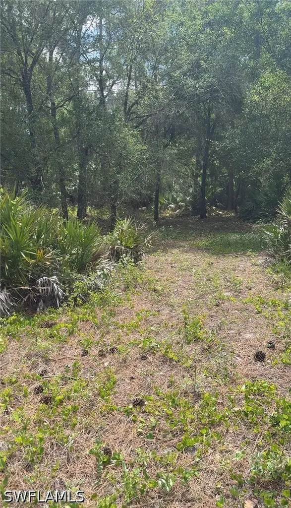 655 S Olivo Street Clewiston FL 33440