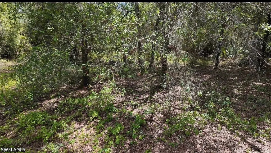 655 S Olivo Street Clewiston FL 33440