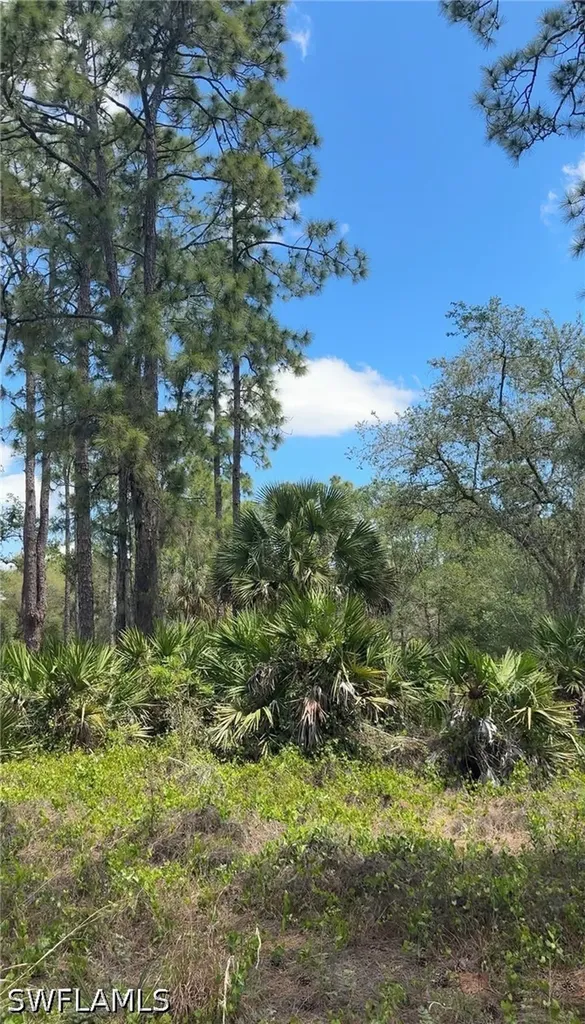 655 S Olivo Street Clewiston FL 33440