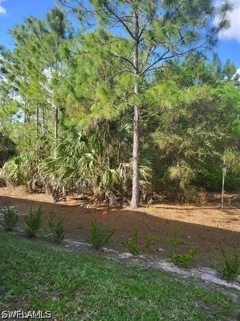 1256 Carpazi Court Naples FL 34105