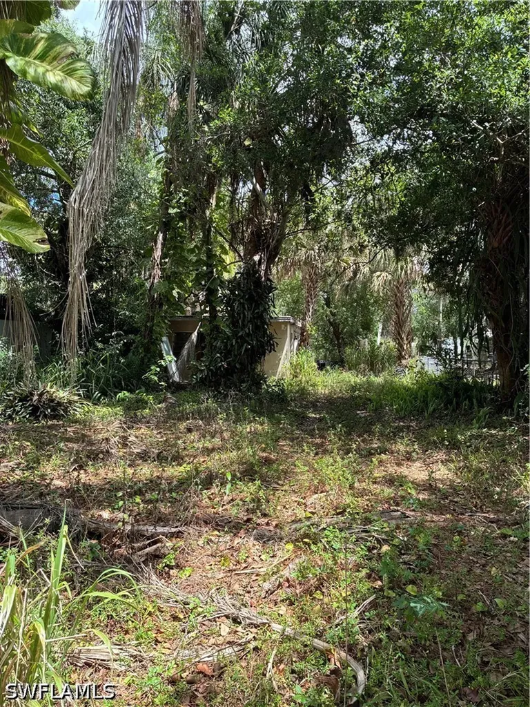 315 Buena Vista Boulevard Fort Myers FL 33905