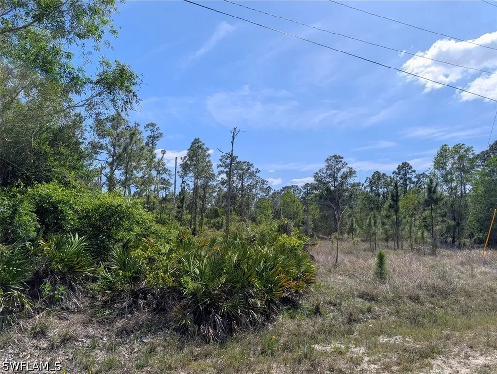 1042 Manning Street Lehigh Acres FL 33974