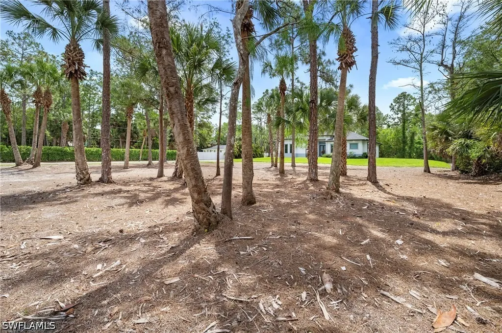 348 14th Avenue NE Naples FL 34120