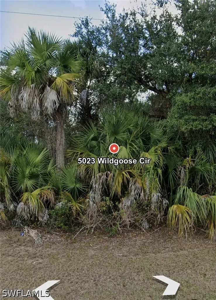 5023 Wild Goose Circle Labelle FL 33935