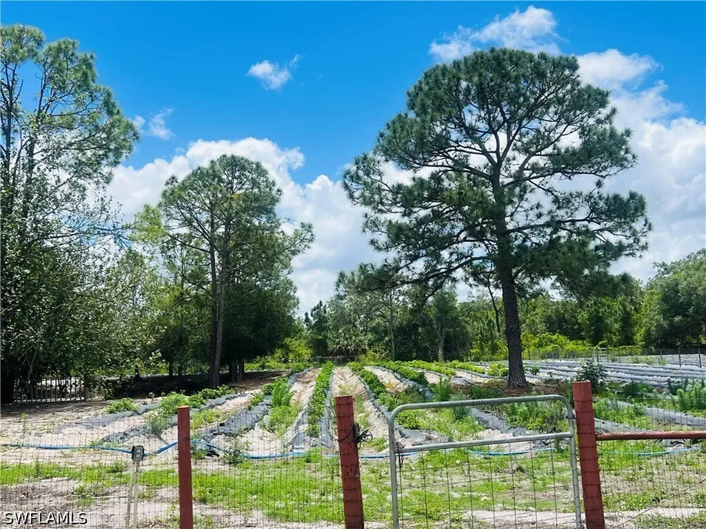 155 Evans Road Labelle FL 33935