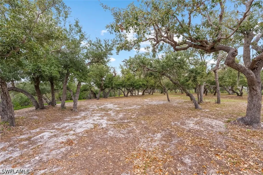 X Burgess Island Bokeelia FL 33922