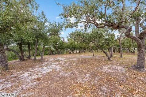 X Burgess Island Bokeelia FL 33922