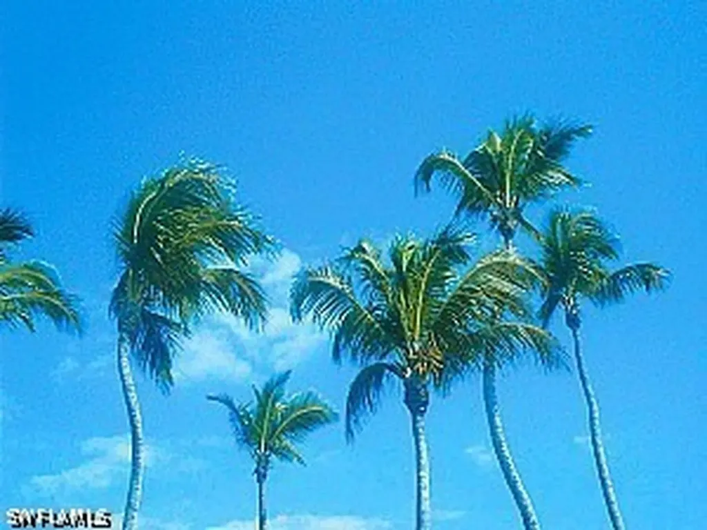 Xxx 9th Street SW Naples FL 34117