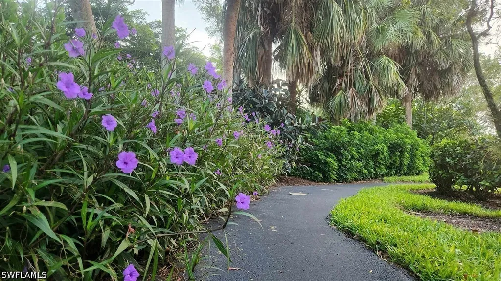 23821 Marbella Bay Road Estero FL 34135