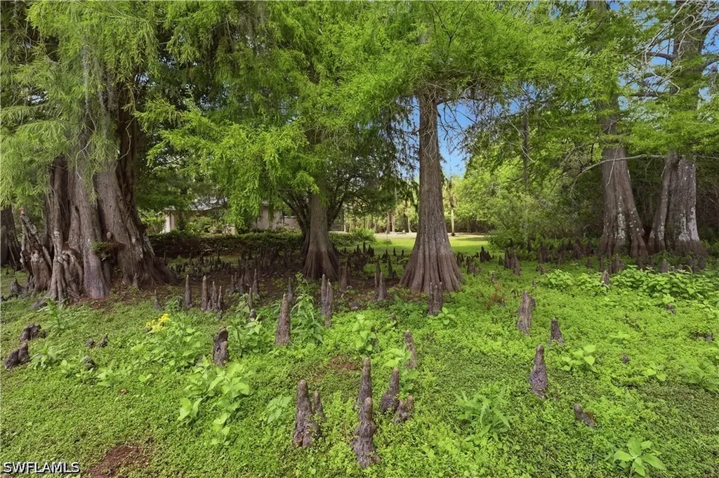 5681 Bur Oaks Lane Naples FL 34119
