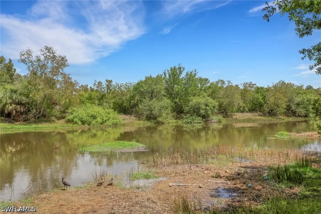 10260 Olivewood Way Estero FL 33928