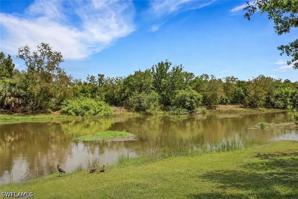 10260 Olivewood Way Estero FL 33928