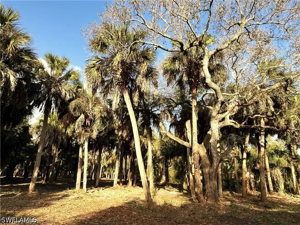 2250 North Road Naples FL 34104