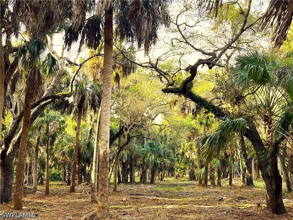 2250 North Road Naples FL 34104
