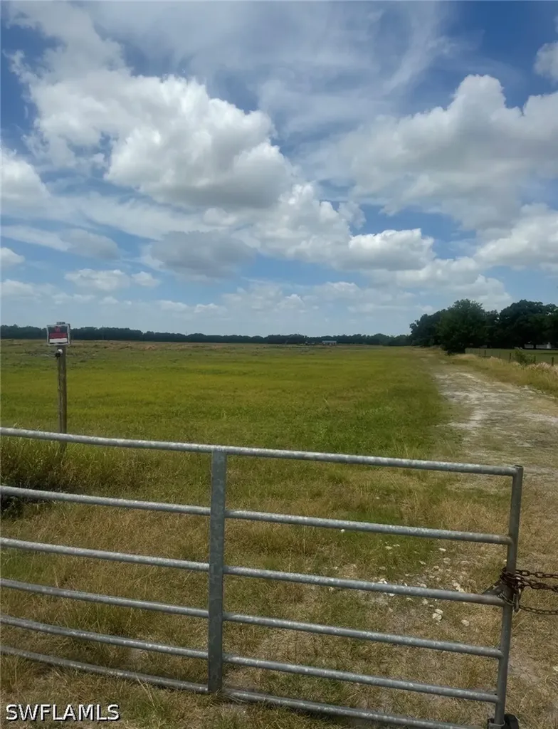Wauchula FL 33873