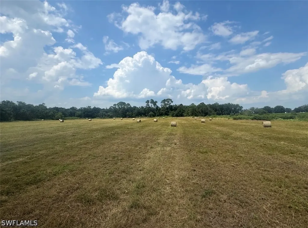 Wauchula FL 33873