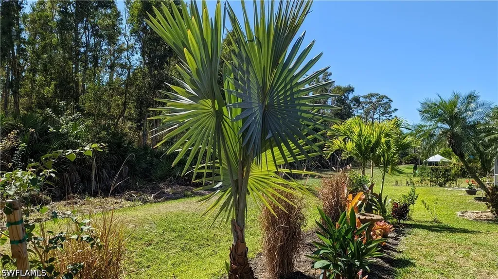 23238 Marsh Landing Boulevard Estero FL 33928