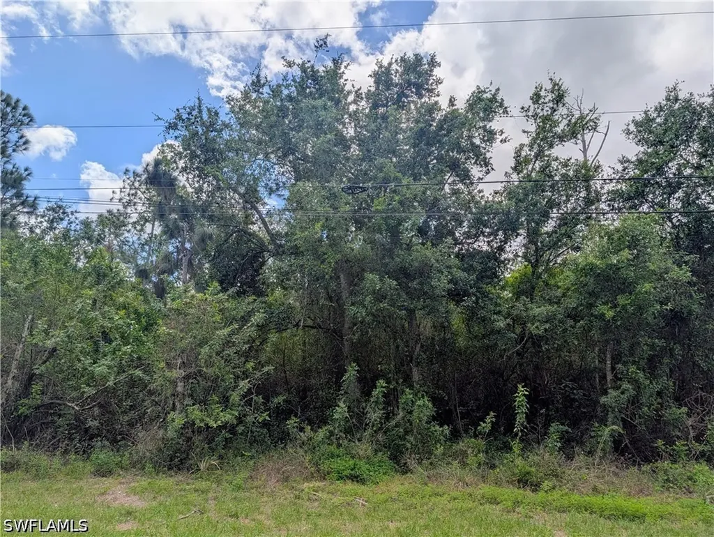 2805 53rd Street SW Lehigh Acres FL 33976