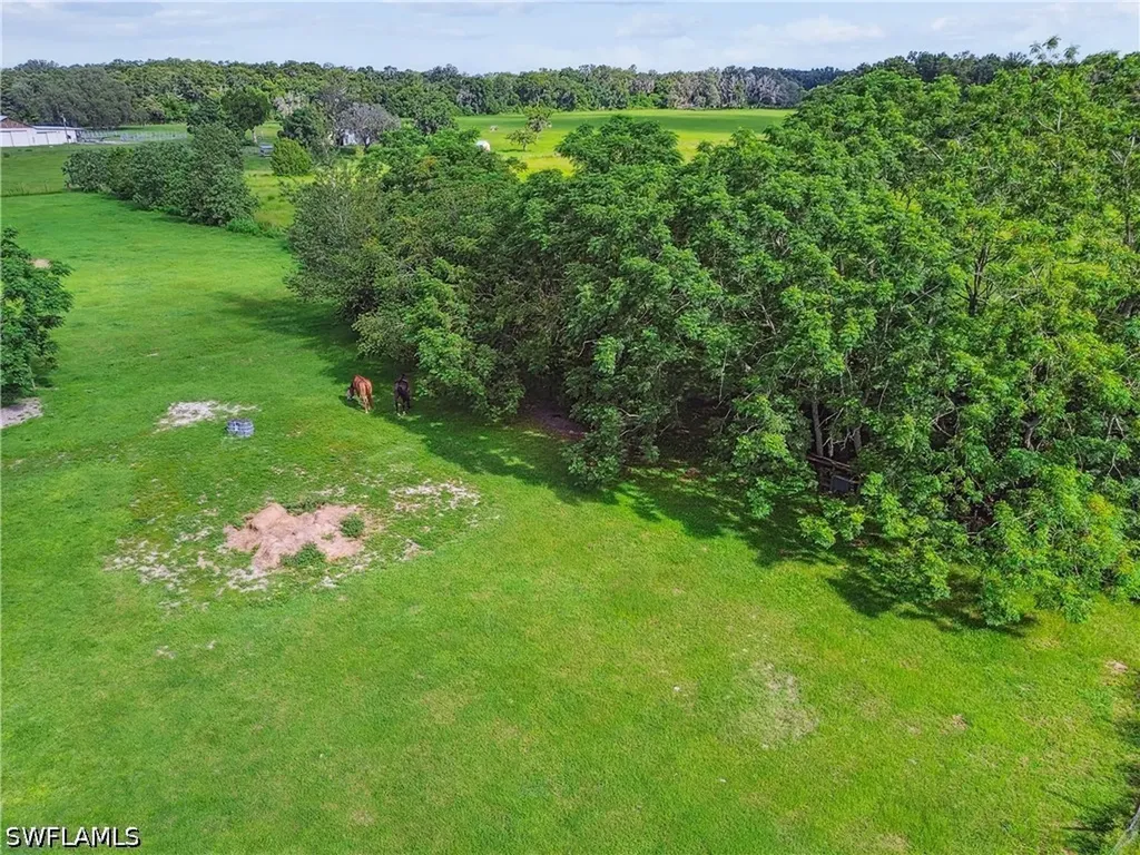 18139 Benes Roush Road Brooksville FL 39604