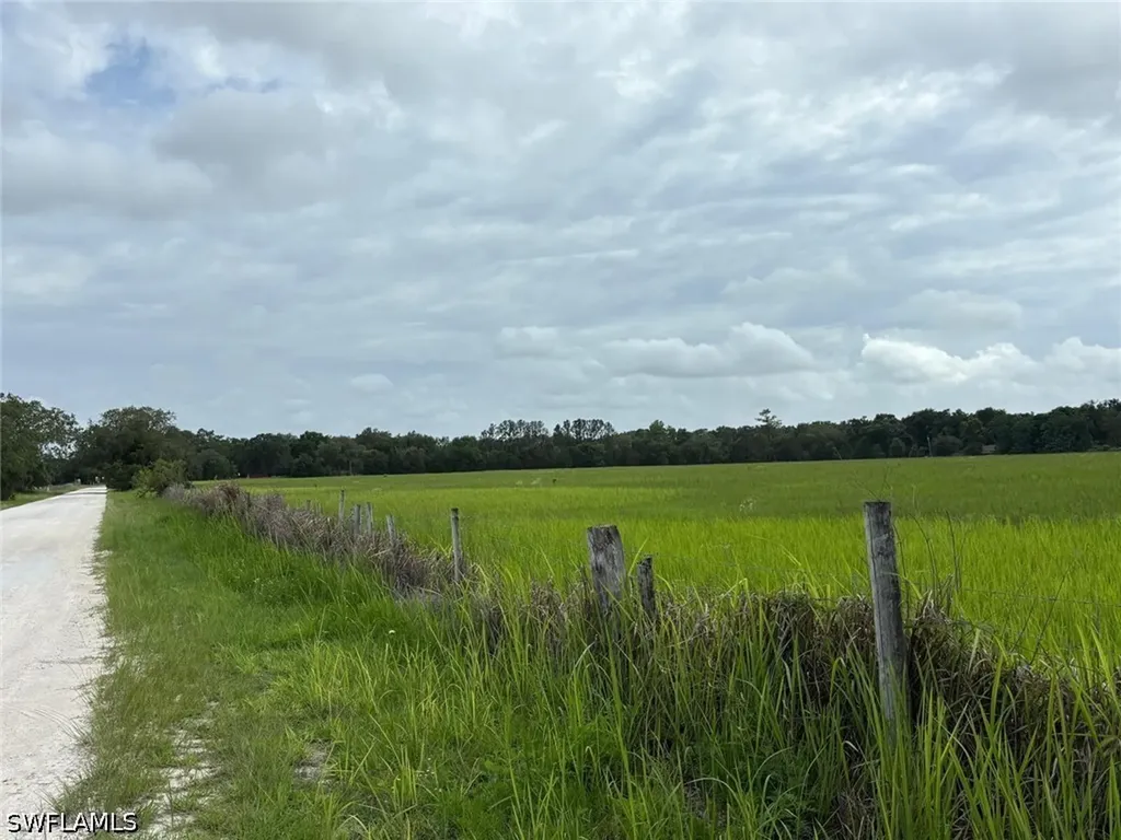 18139 Benes Roush Road Brooksville FL 39604