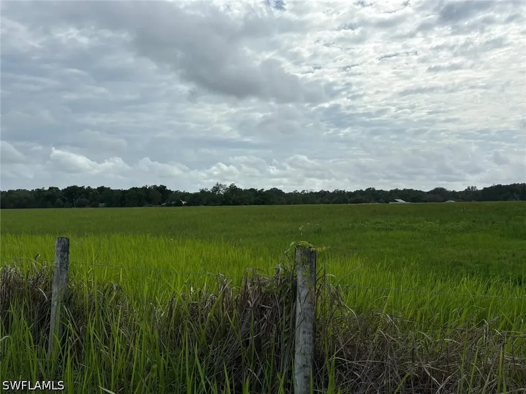 18139 Benes Roush Road Brooksville FL 39604