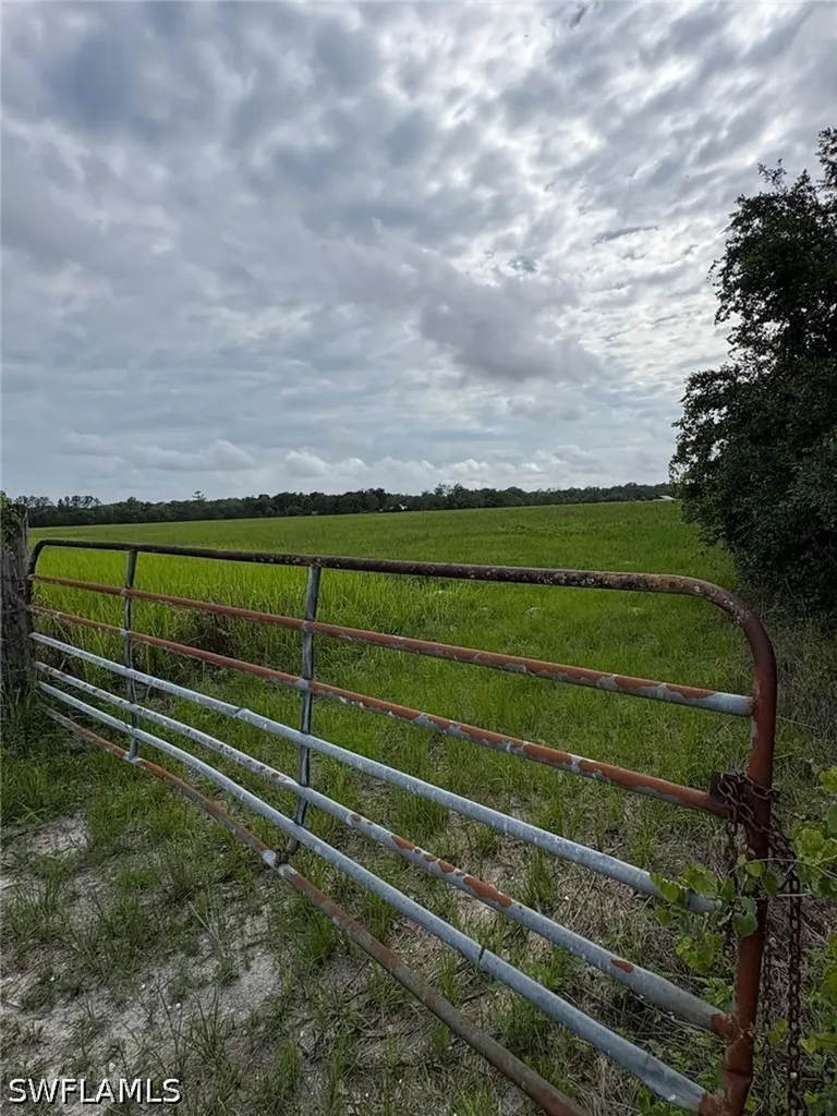 18139 Benes Roush Road Brooksville FL 39604