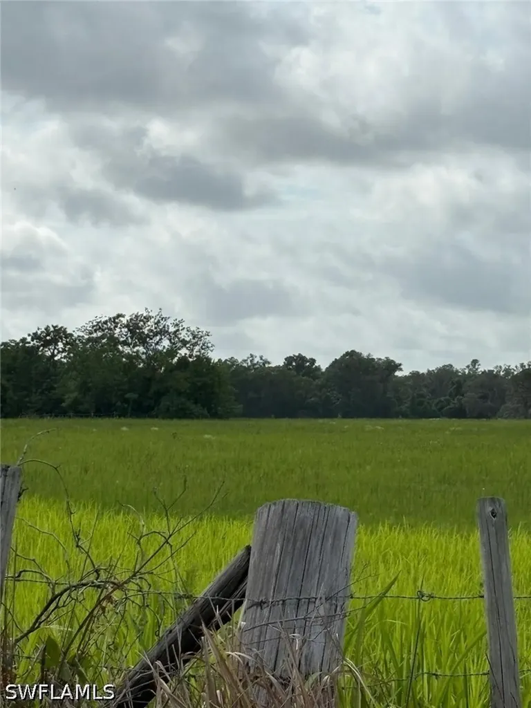 18139 Benes Roush Road Brooksville FL 39604