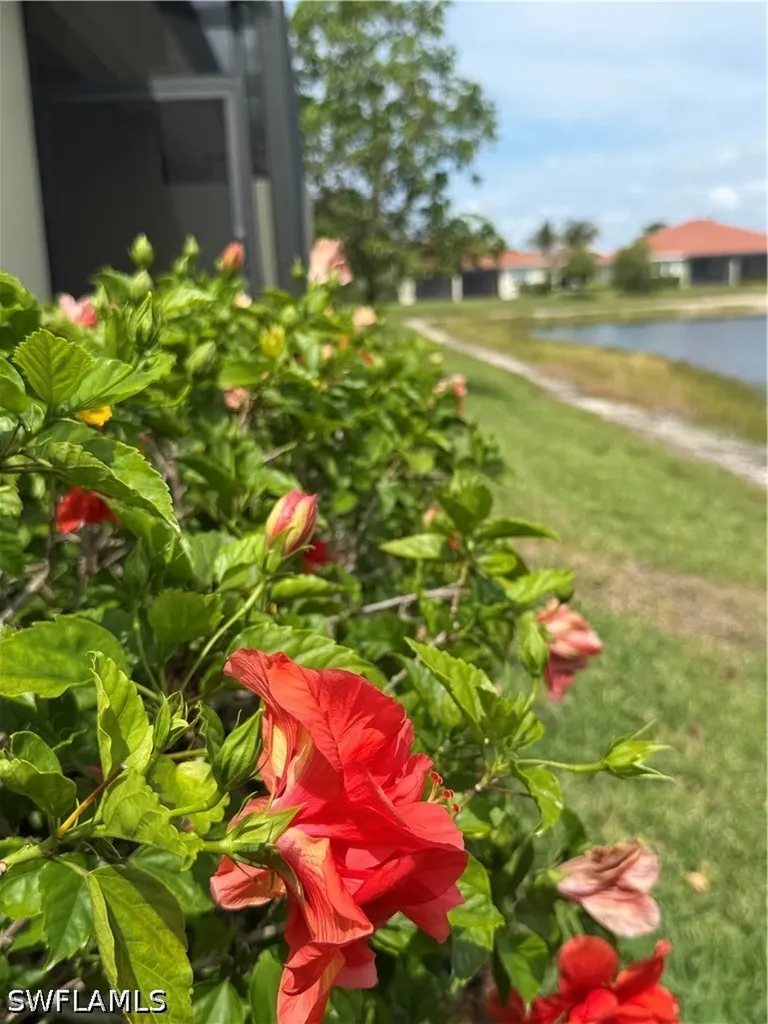 3889 Dunnster Court Fort Myers FL 33916