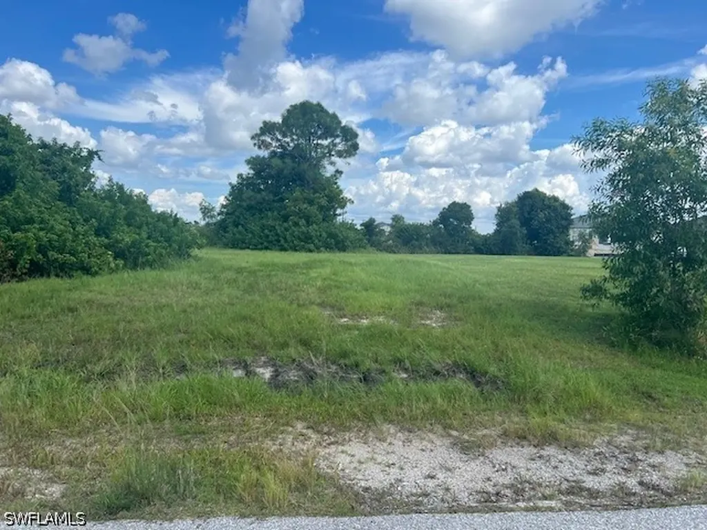 1317 NW 3rd Place Cape Coral FL 33993