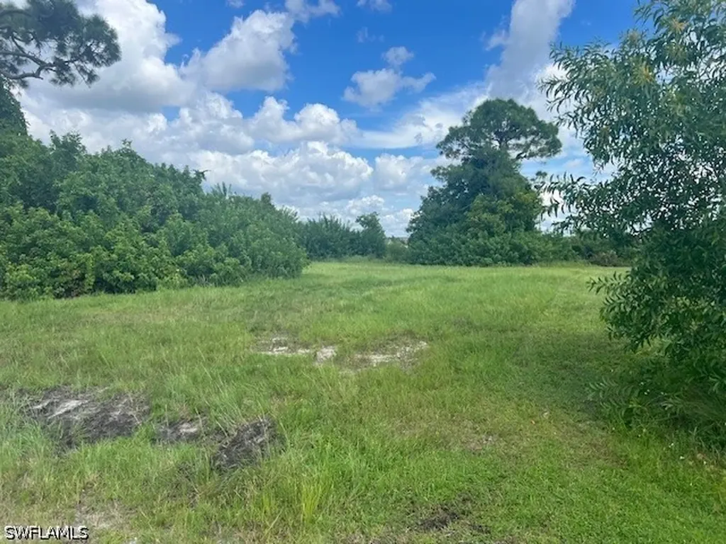 1317 NW 3rd Place Cape Coral FL 33993