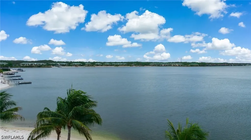 11759 Via Savona Court Miromar Lakes FL 33913