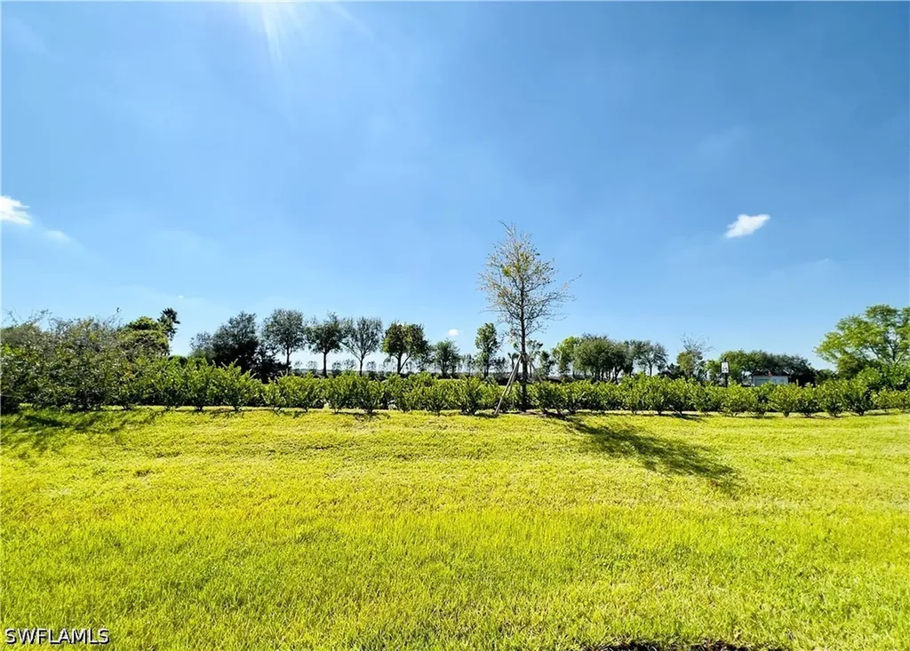 14297 Oviedo Place Fort Myers FL 33905