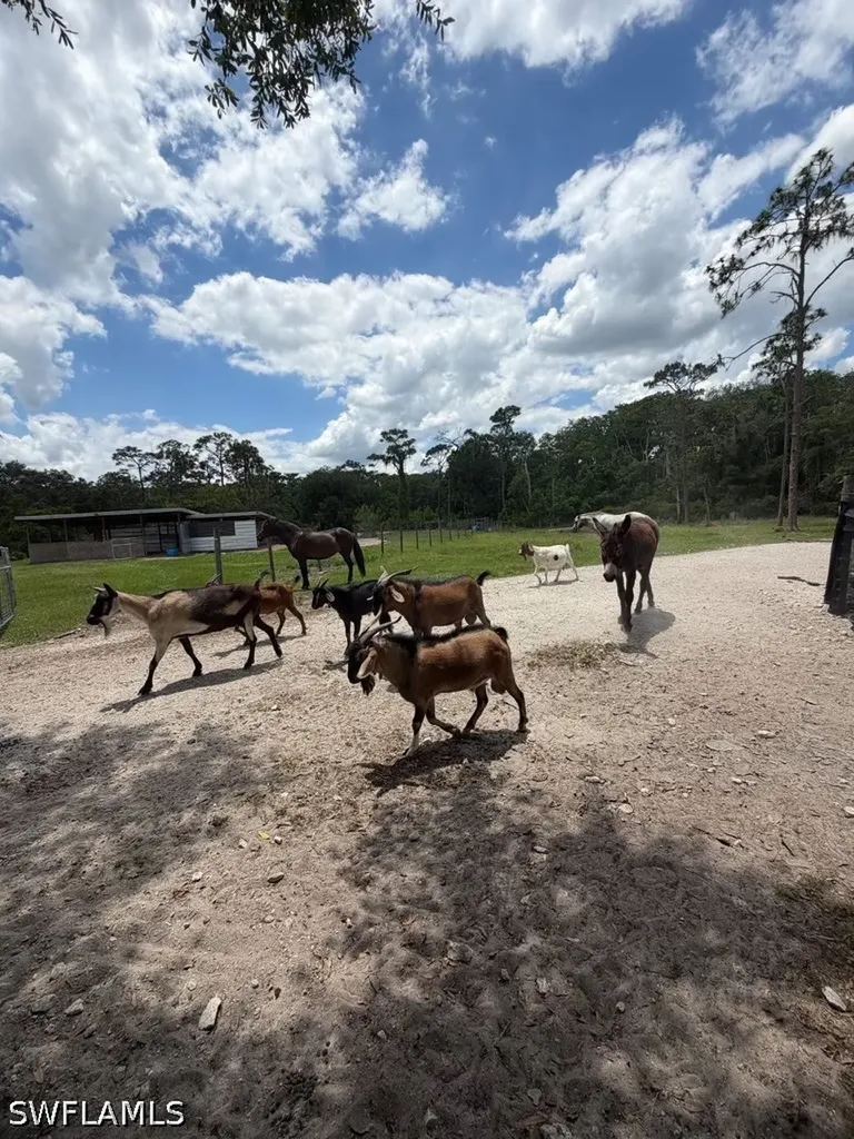 1375 W Ash Road Labelle FL 33935
