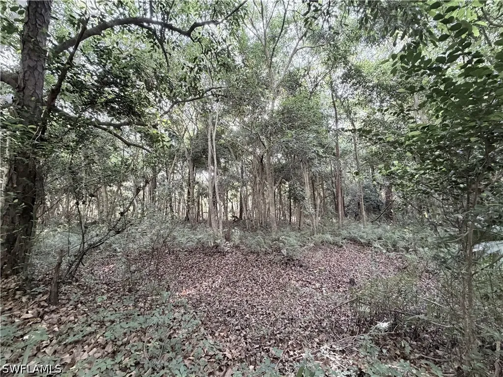 Lager Lane Naples FL 34114