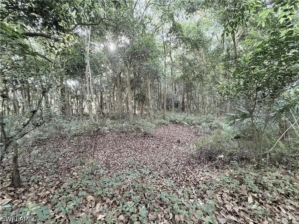 Lager Lane Naples FL 34114