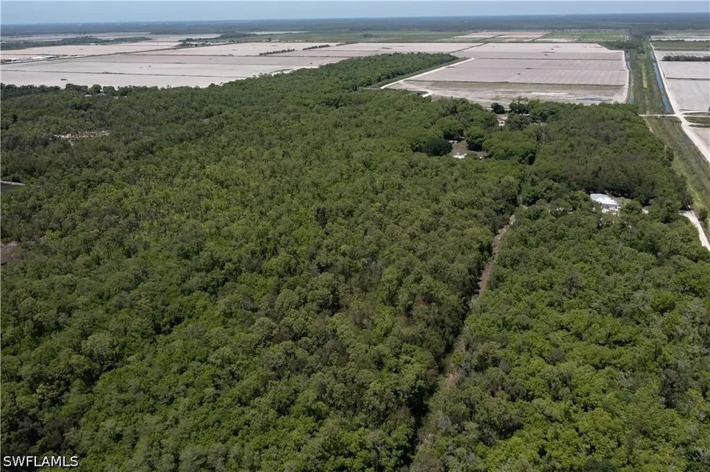 Lager Lane Naples FL 34114