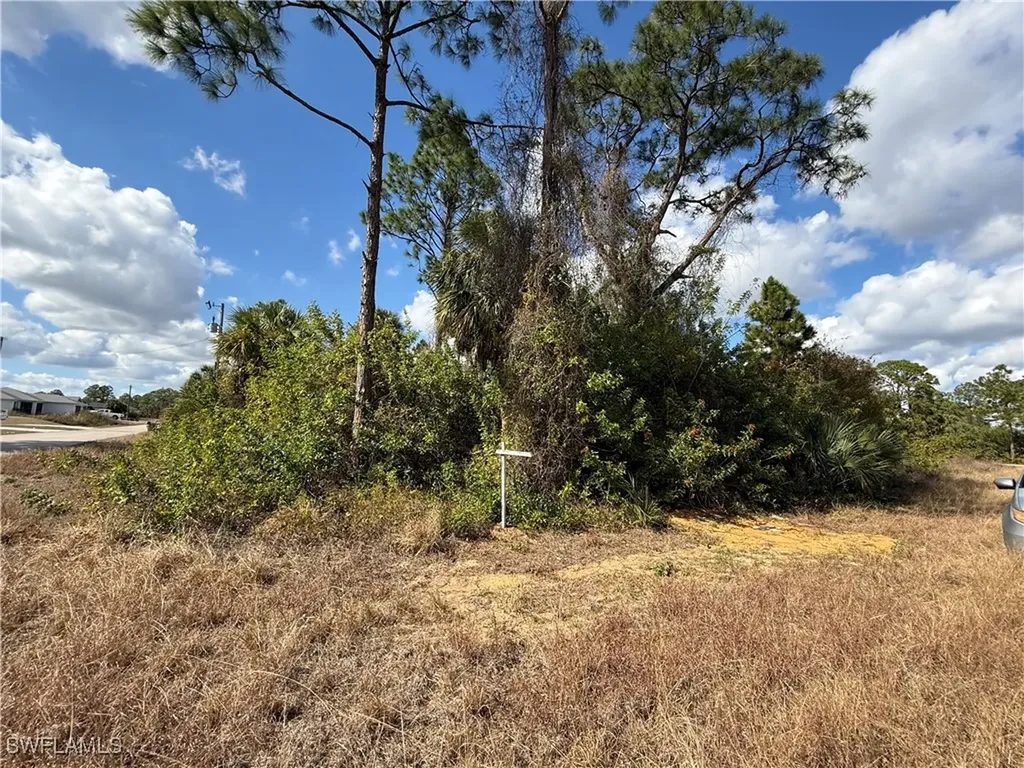 County Street E Lehigh Acres FL 33974