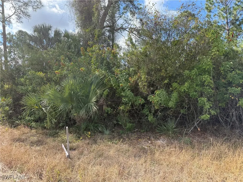 County Street E Lehigh Acres FL 33974