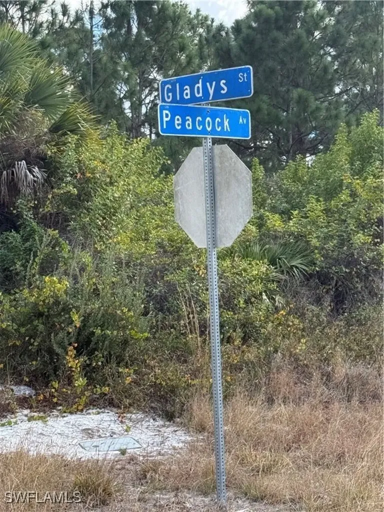 Lehigh Acres FL 33974