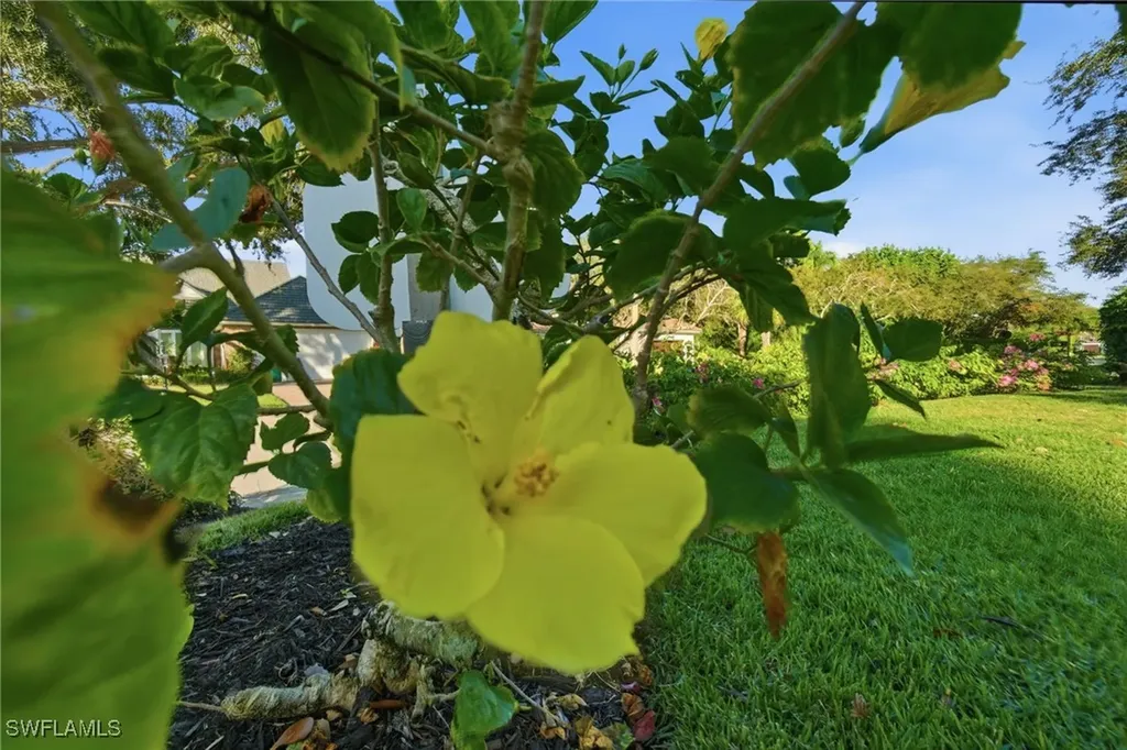 716 Pitch Apple Lane Naples FL 34108