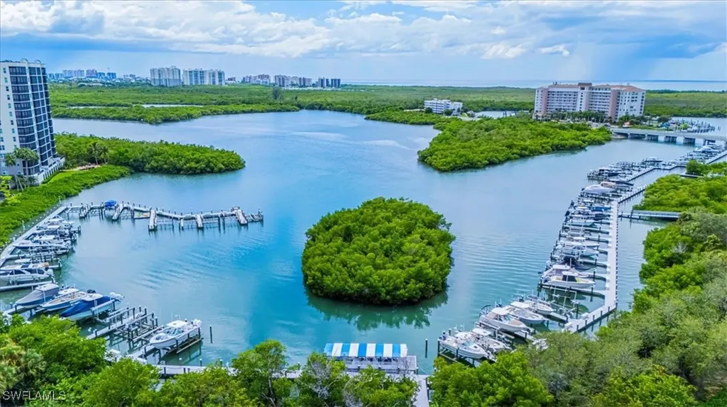 445 Cove Tower Drive Naples FL 34110