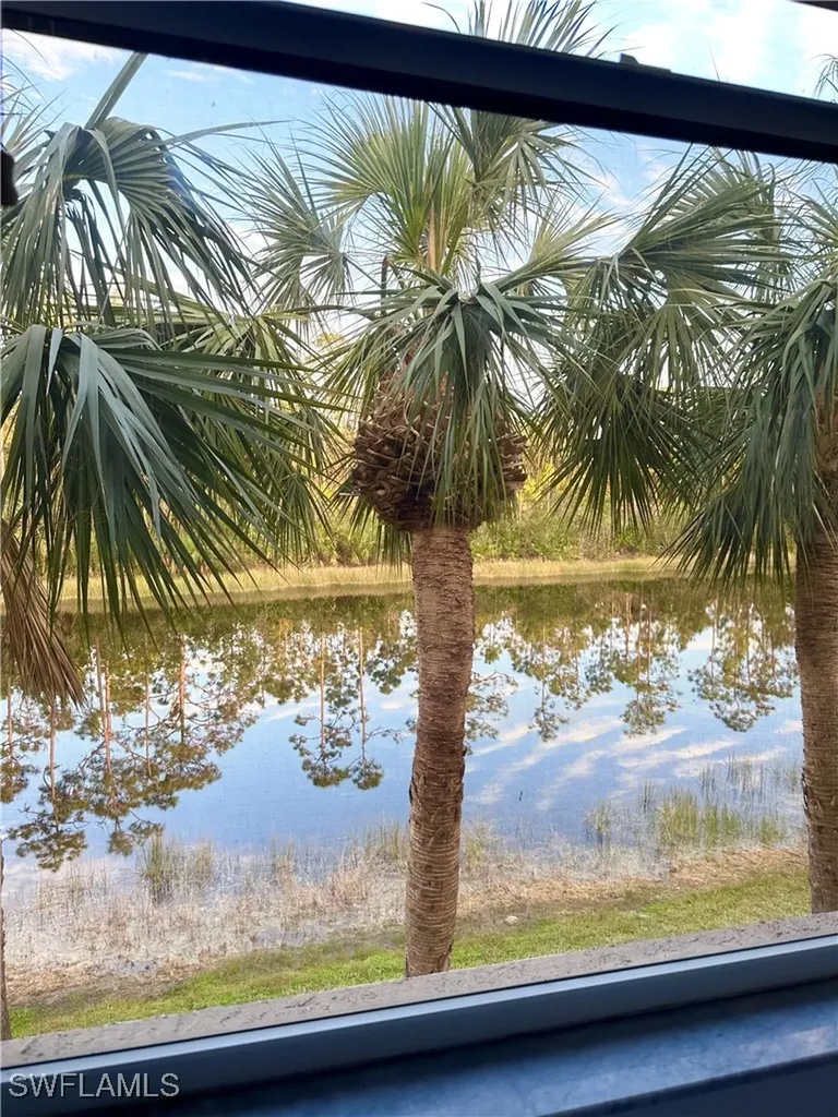 23007 Lone Oak Drive Estero FL 33928