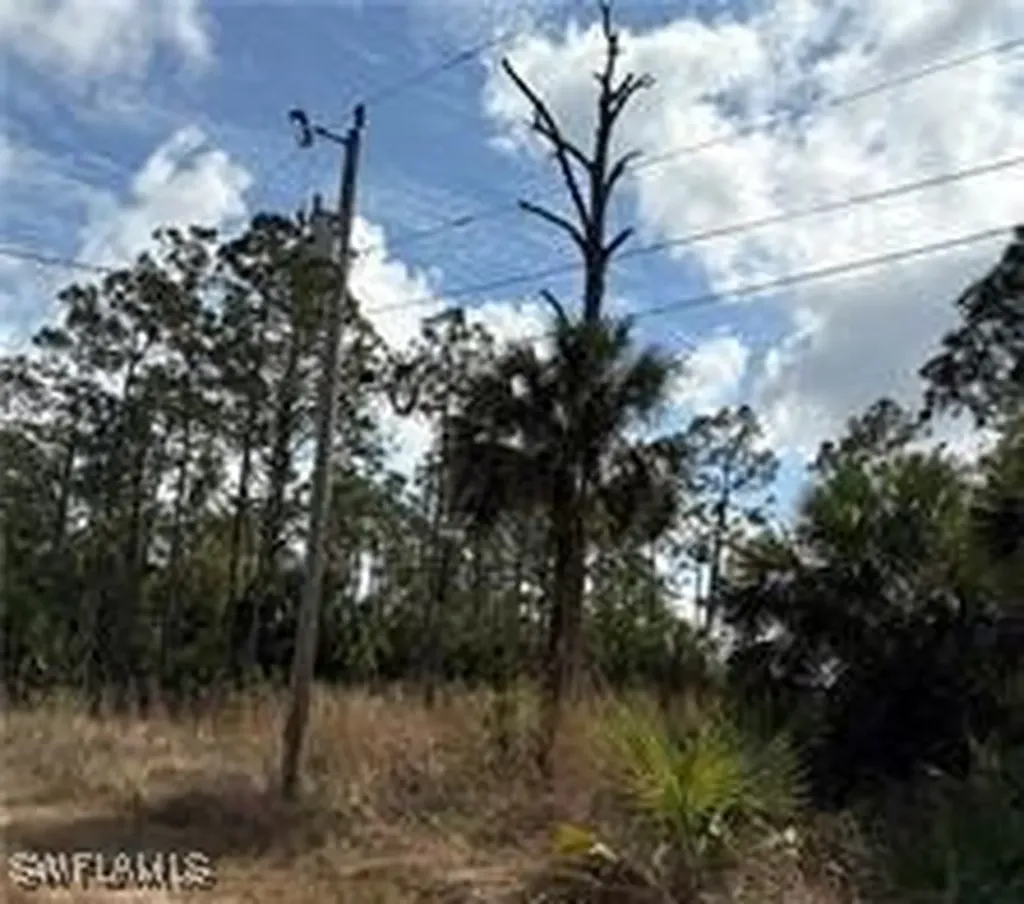 1242 Creary Street E Lehigh Acres FL 33974