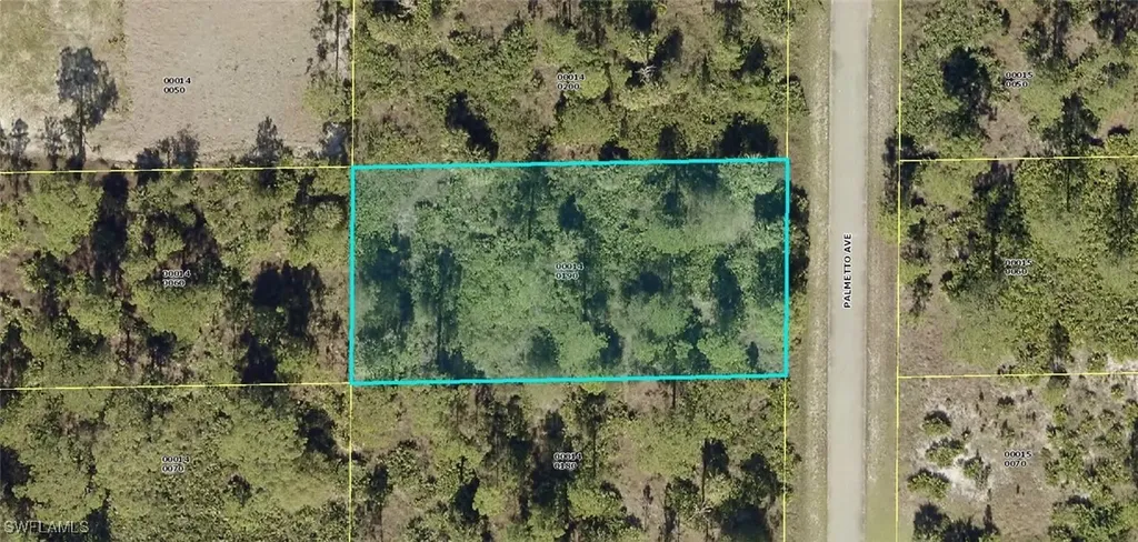 1313 Palmetto Avenue Lehigh Acres FL 33972