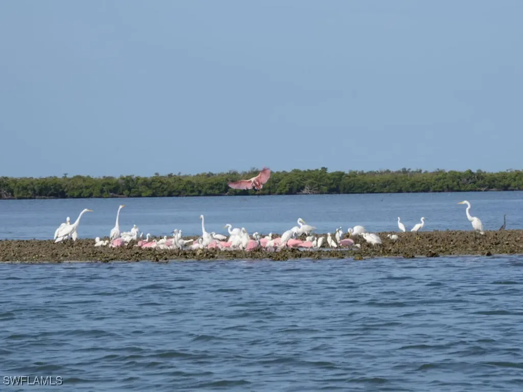 254 Newport Drive Naples FL 34114