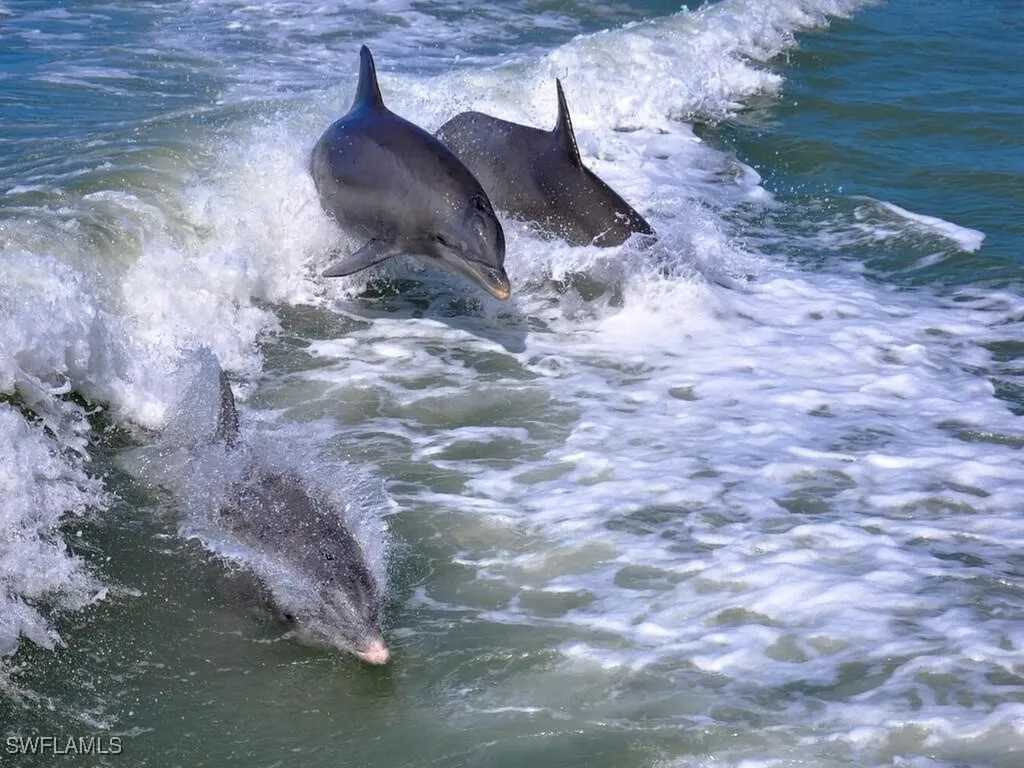 254 Newport Drive Naples FL 34114