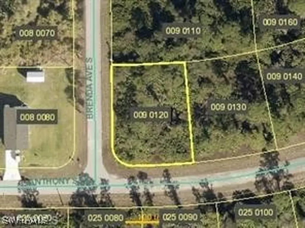925 Anthony Street E Lehigh Acres FL 33974